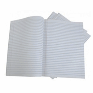Fly Paper